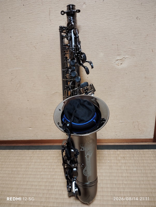 Cannonball ｱﾙﾄｻｯｸｽ ｷｬﾉﾝﾎﾞｰﾙ A-5BiceBの画像
